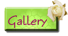 gallery button